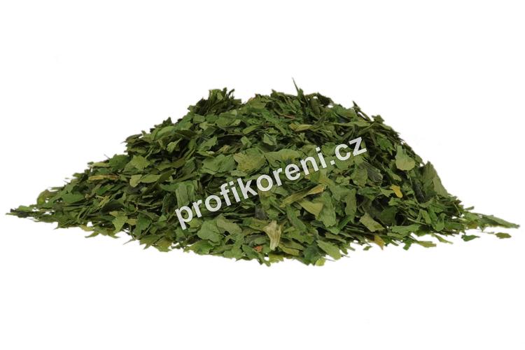 Medvědí česnek extra (5 Kg)