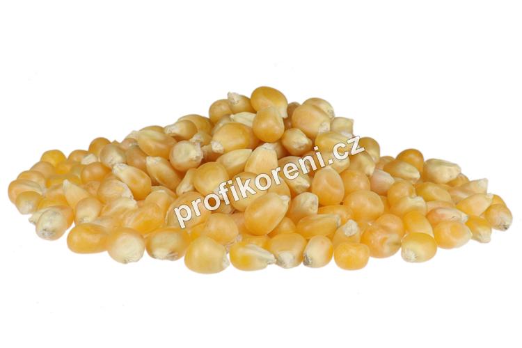 Kukuřice zrno na popcorn (22,68 Kg)