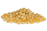 Kukuřice zrno na popcorn (25 Kg)