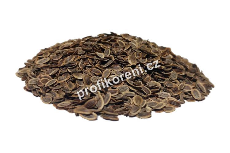 Kopr semínka (5 Kg)