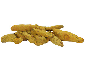 Kurkuma kořen sušený celý (100g)