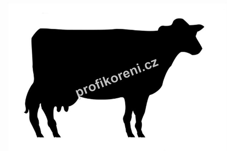 Hovězí střeva zasolená, deník 100 - 120 délka 80 cm